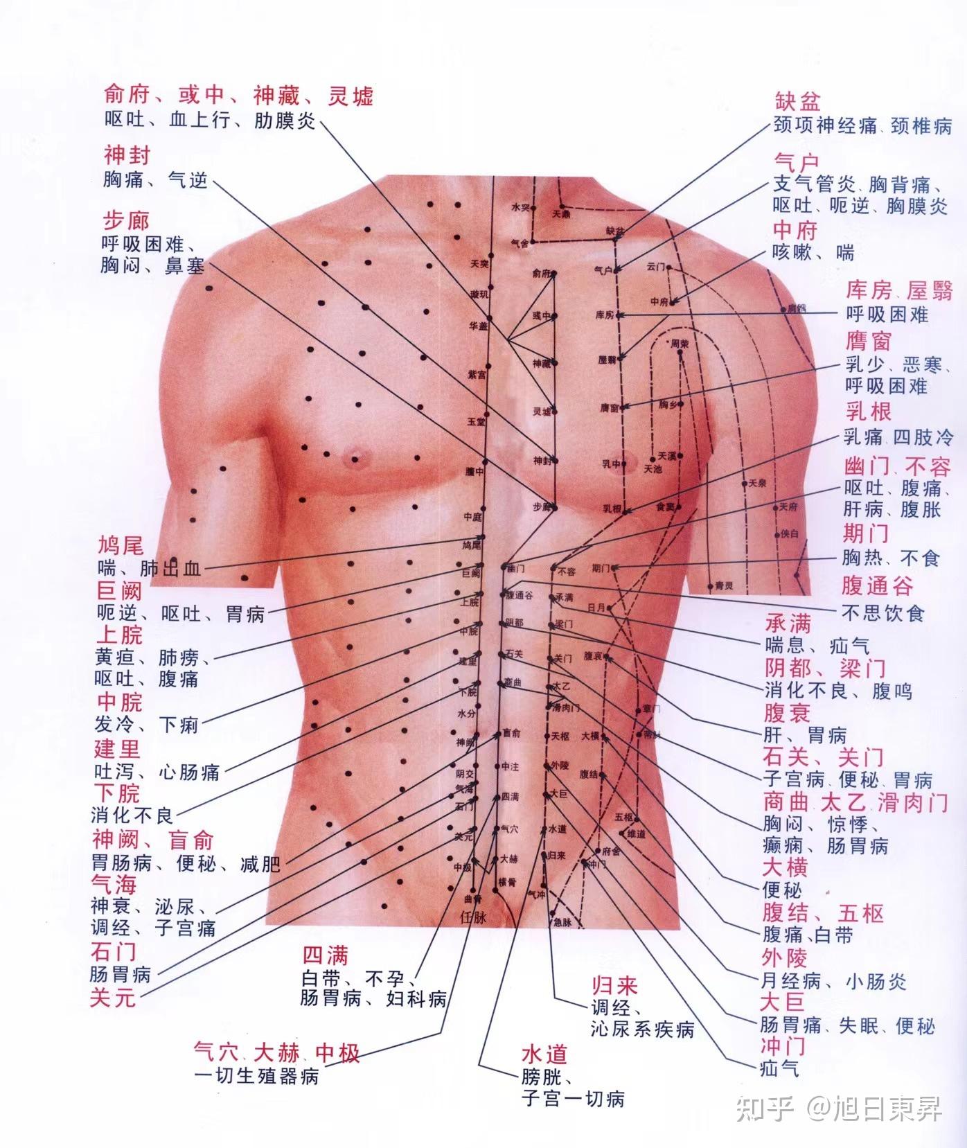 胸上九条经络图图片