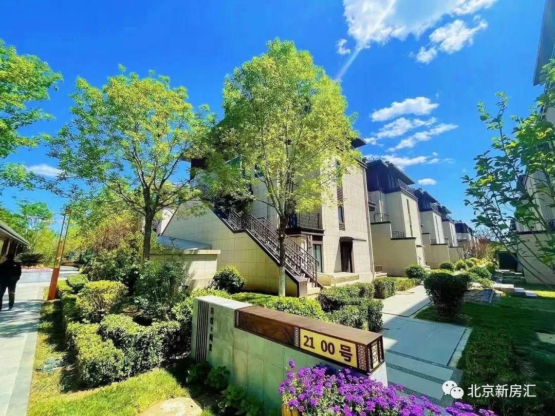 中铁诺德阅墅 后沙峪高性价比合院别墅 1700万居住首选 - 知乎