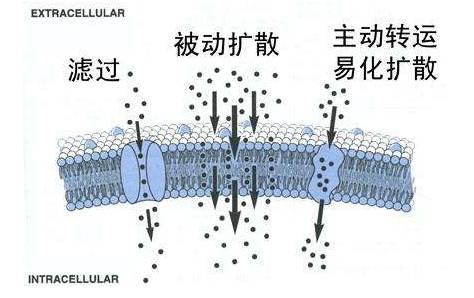 让激动人心的比赛触手可及