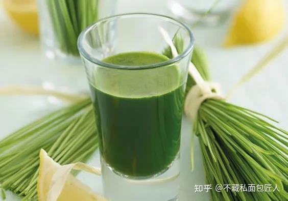 宝石绿之浆麦草汁(麦青汁)