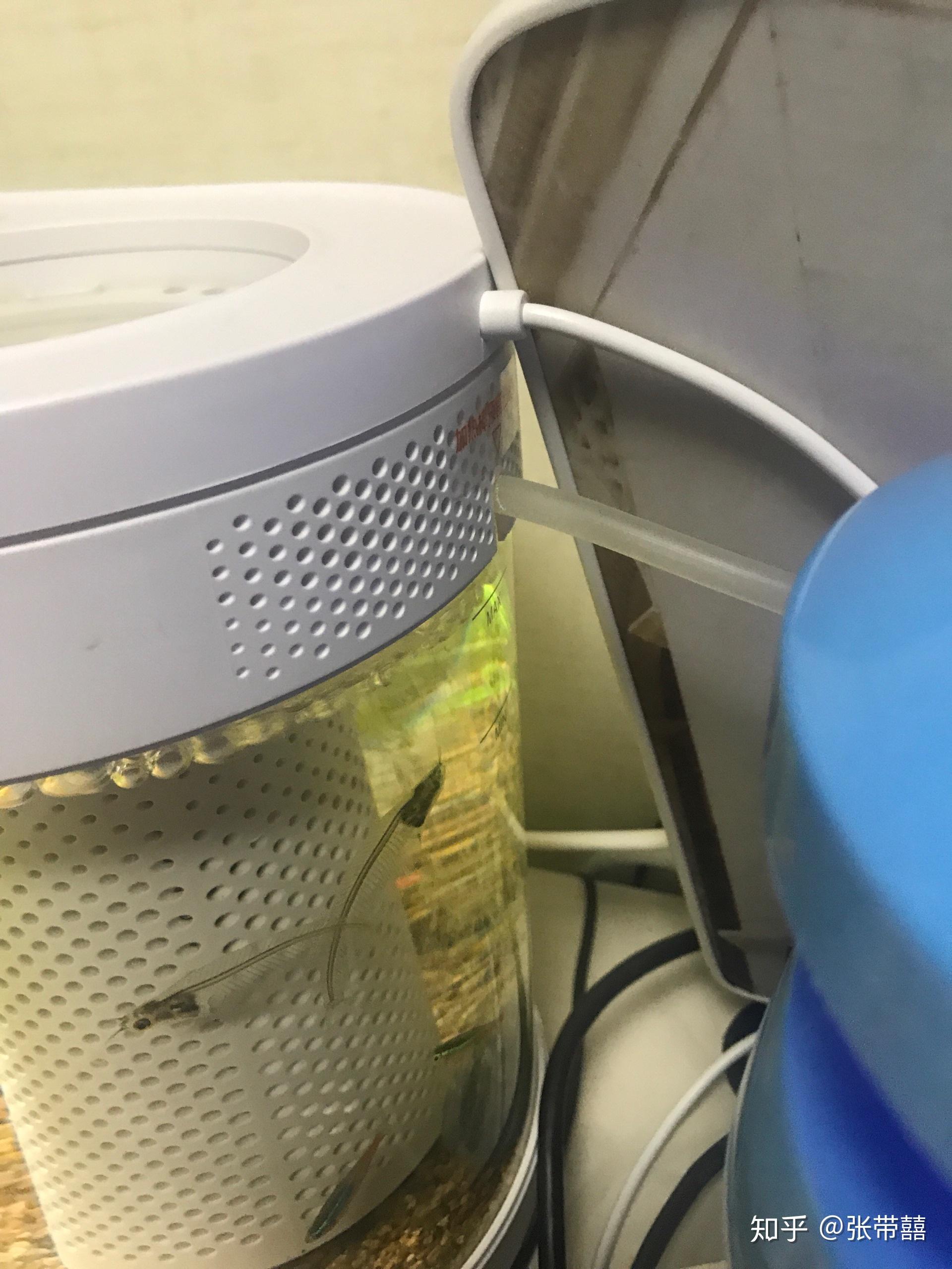 小米几何画法鱼缸