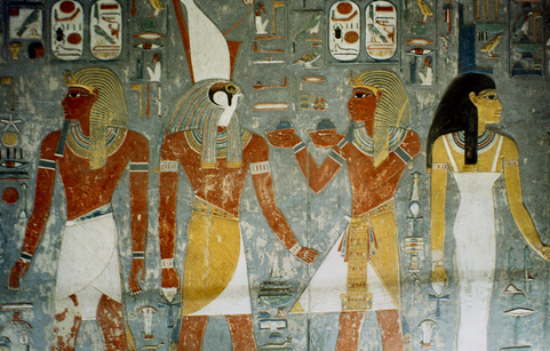 国花:齿叶睡莲4.埃及国花:▼马蹄莲3.