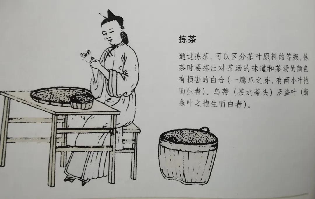 中国古代茶叶制作发展历史