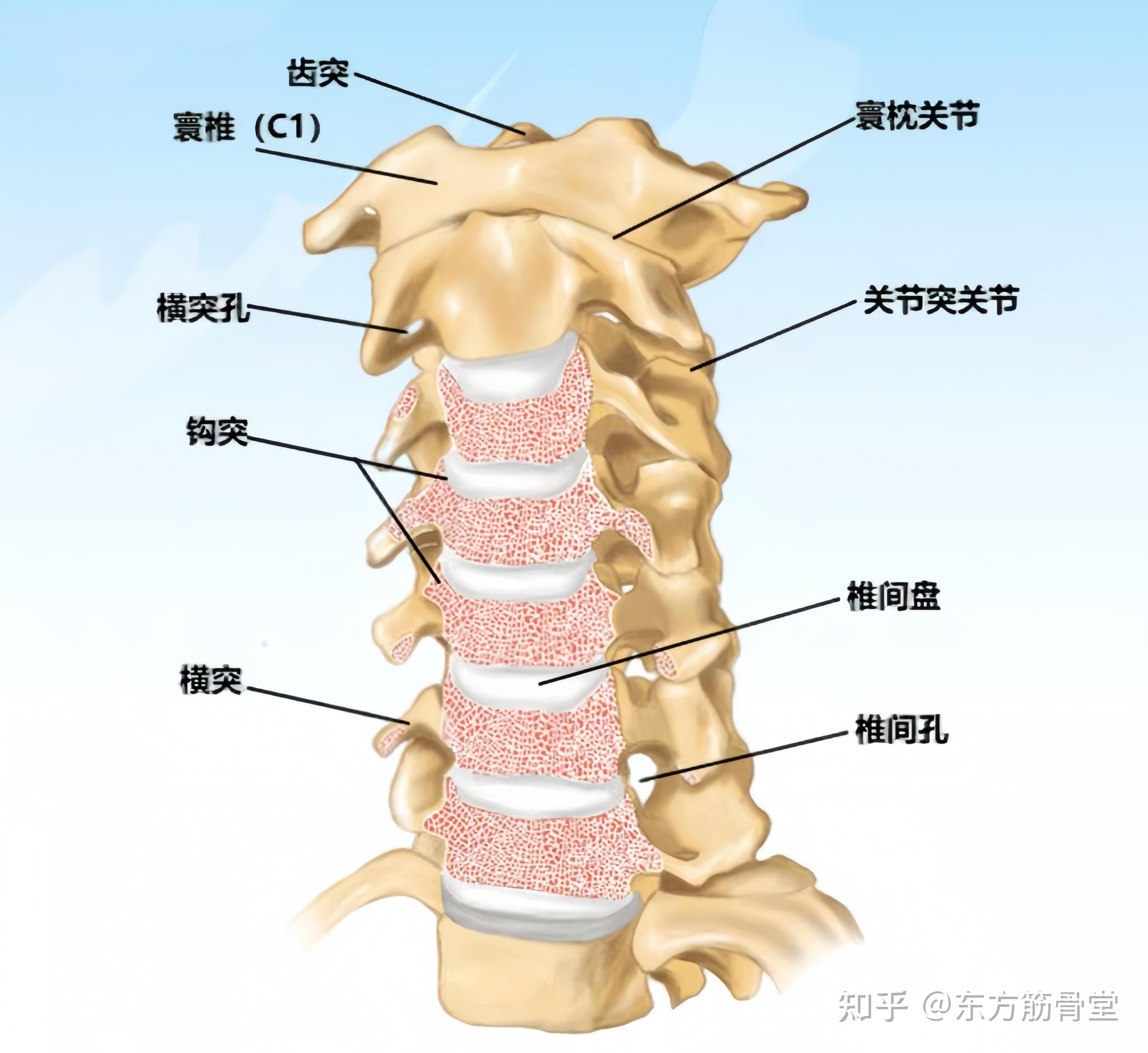 自我诊断颈椎病,了解不同类型的颈椎病及其症状