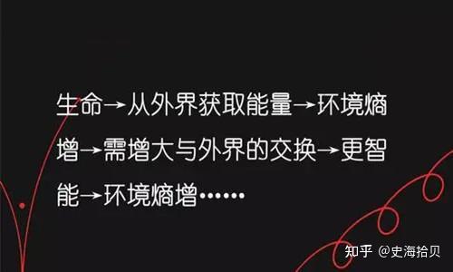 熵增定律到底是什么?为何很多人在理解它后,就突然顿悟了呢? - 知乎