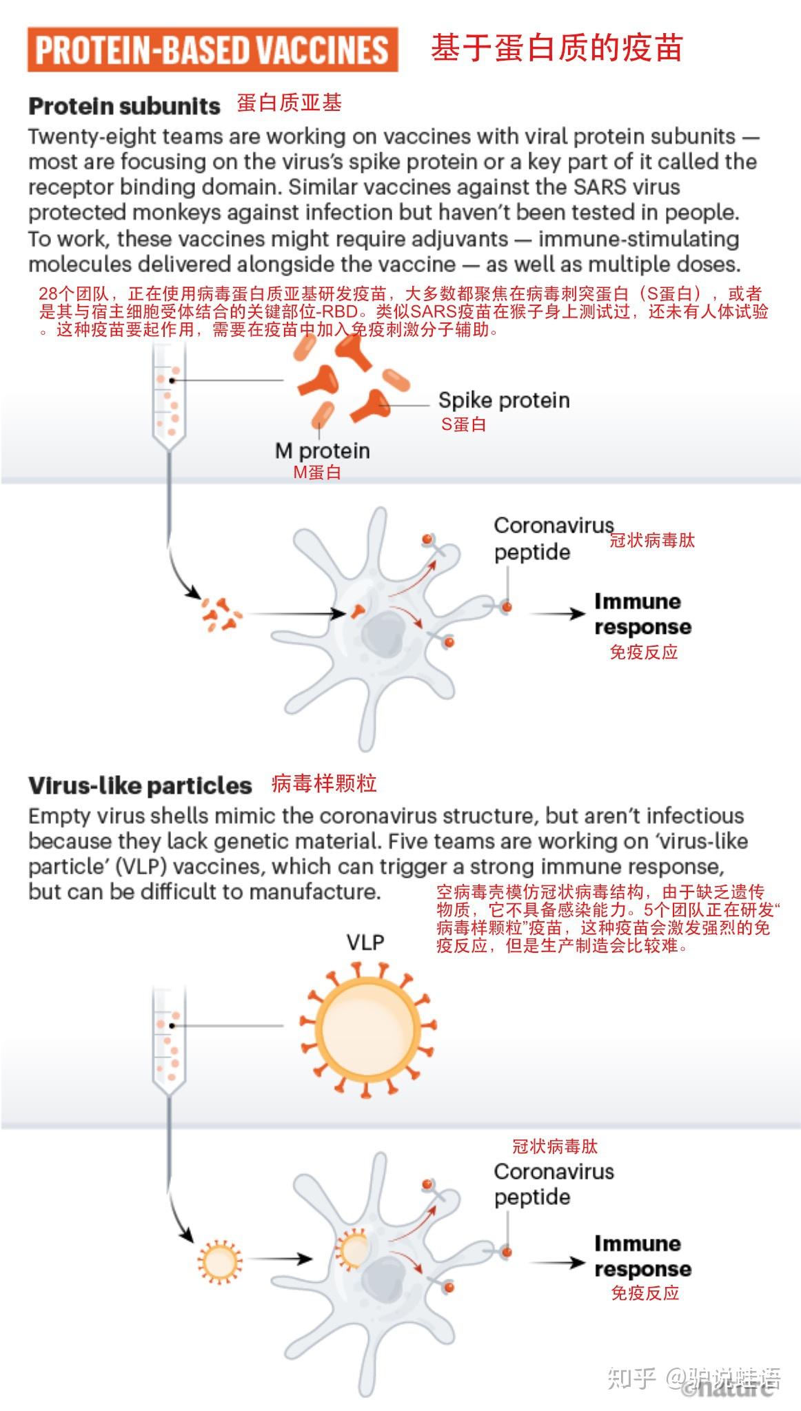 基于蛋白质的疫苗