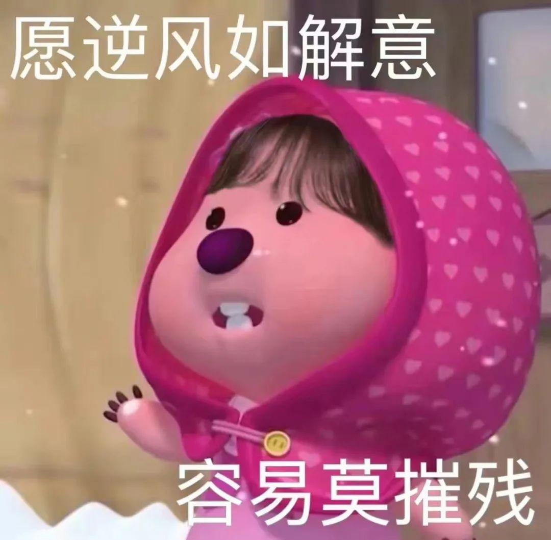 高冷的表情包 - 知乎