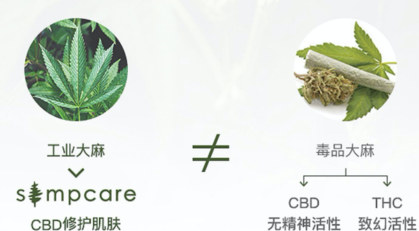 拔草丨抗炎控油祛痘 大麻叶精华我pick这一款 知乎