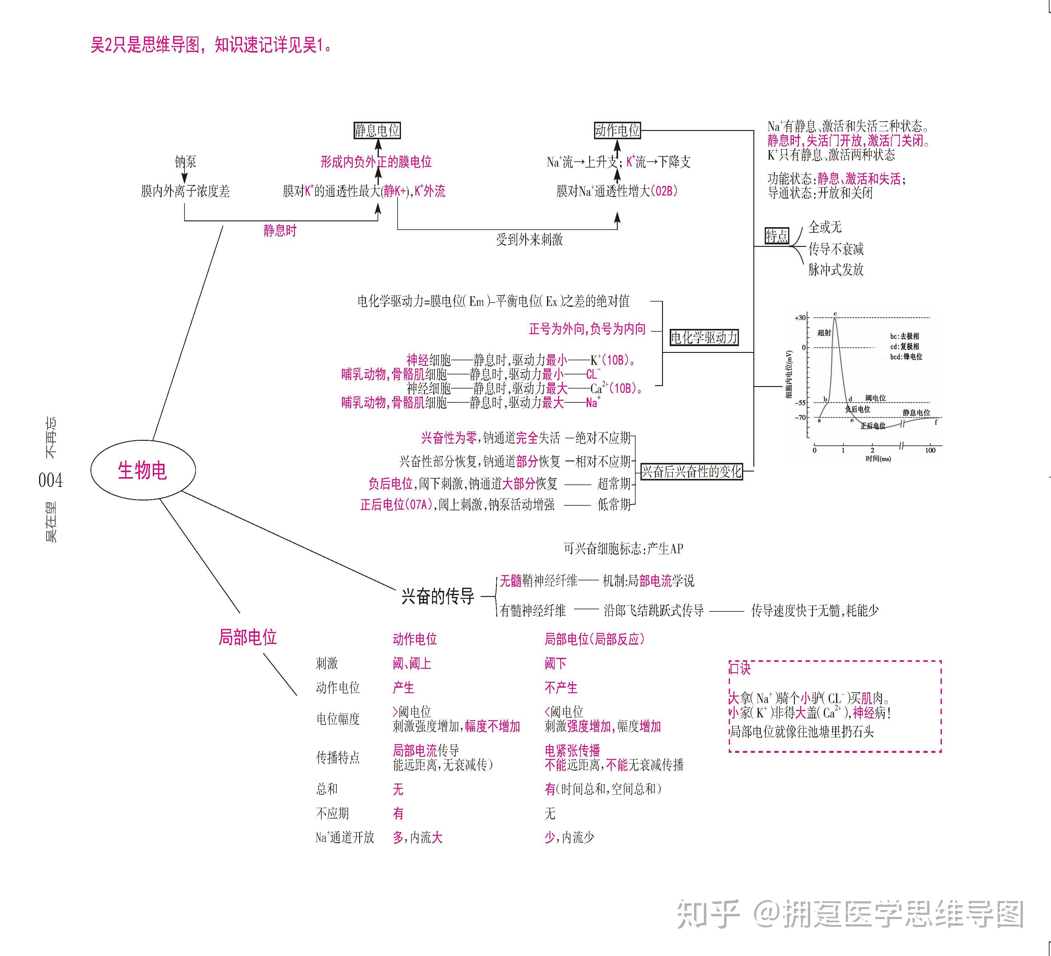 思维导图串讲笔记知识点总结细胞的基本功能物质的转运生物电信号转导