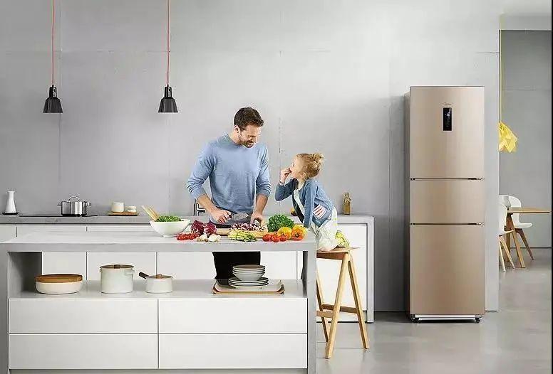 冰柜怎么用才省电 v2-4304f3cf30d995622fc19cab9749c0ee_r.jpg