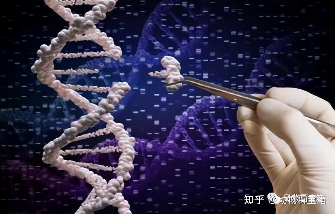 残留的血迹,却成为破案的重要线索,DNA鉴定技术究竟有多强? - 知乎