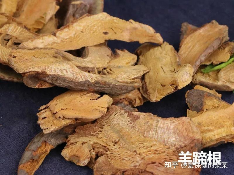 一起来看止血化瘀药羊蹄