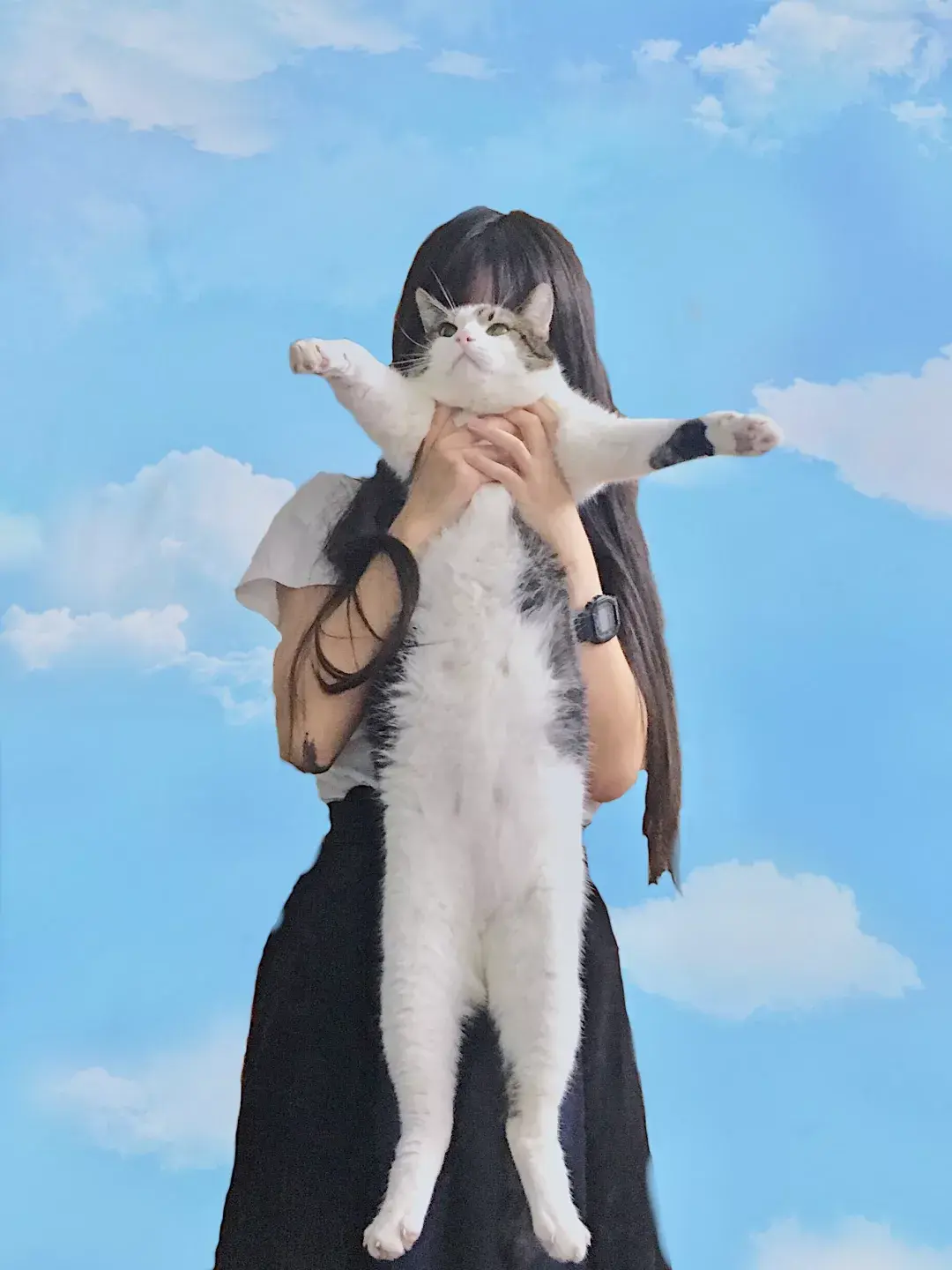 秀一波猫奴和主子的合照猫奴的颜值太高了吧