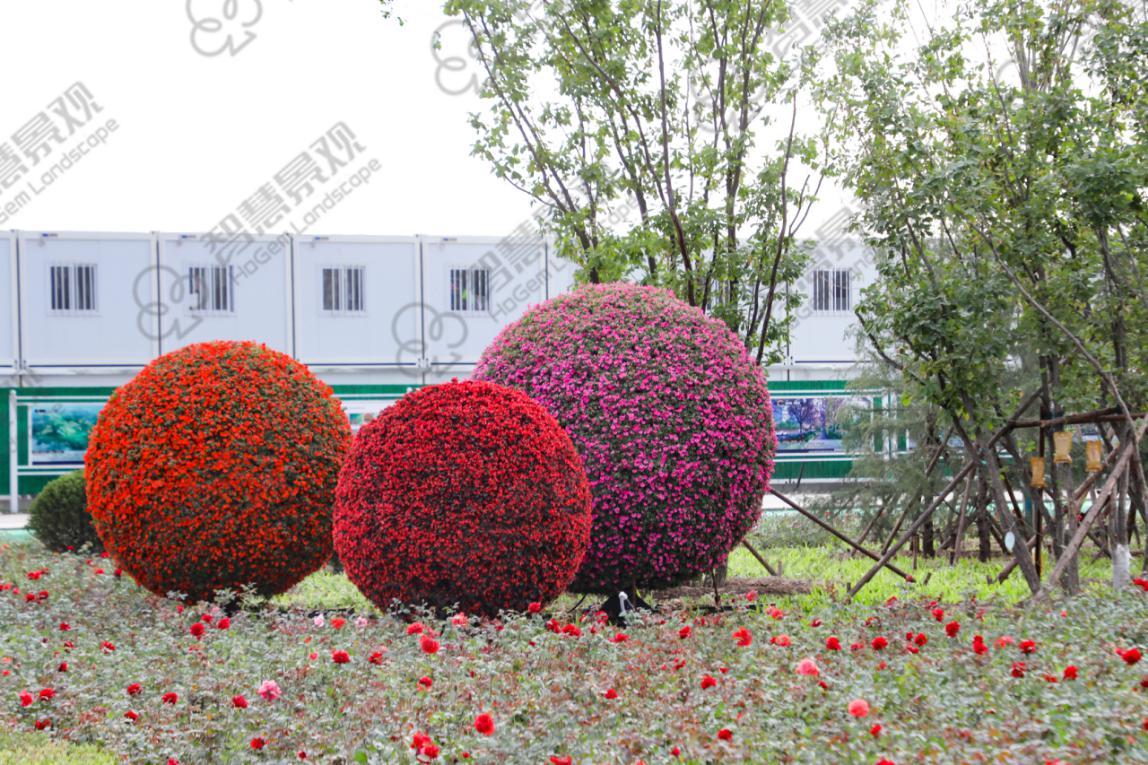 了解一下关于景观花球造景的基本原则