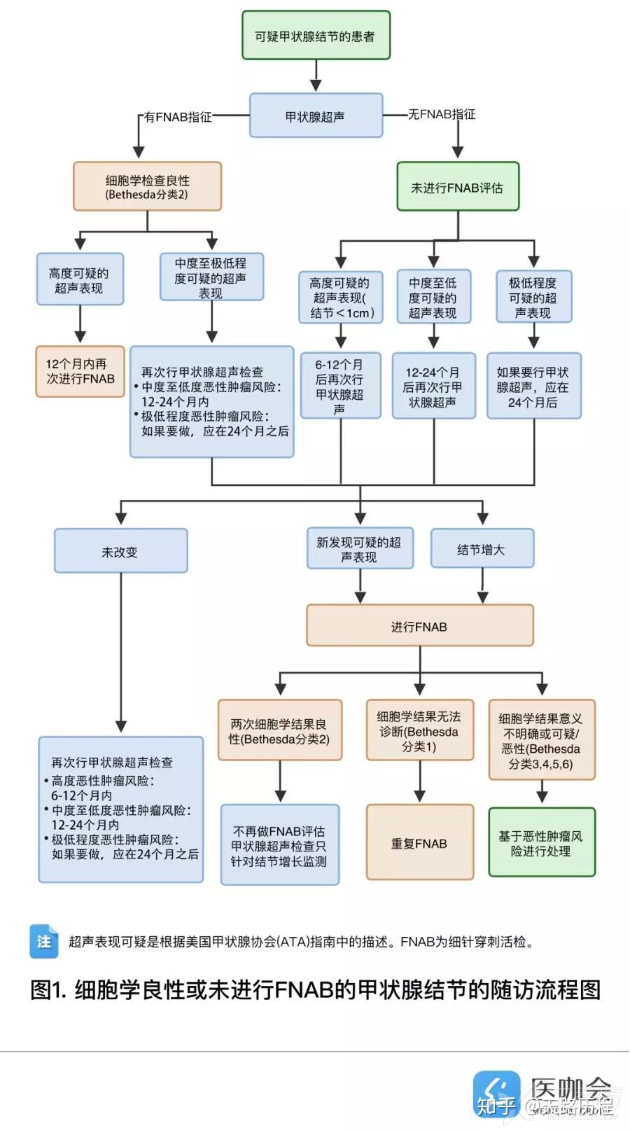 甲状腺超声检查TI-RADS分级 - 知乎