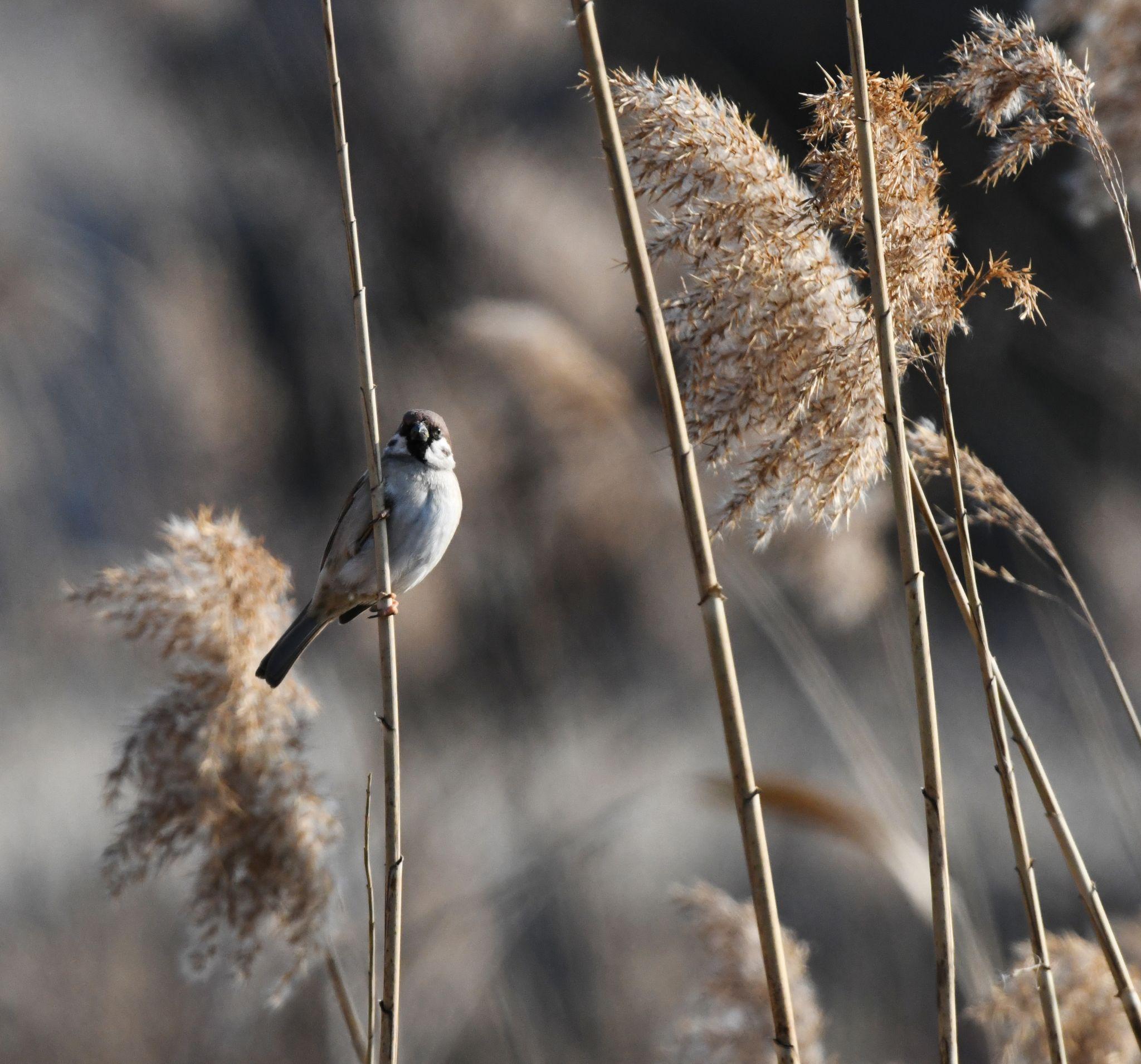 随拍随忆 - 知乎