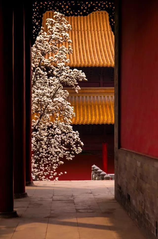 你思春了吗？南京春日赏花大全承包你的整个春天！ - 知乎