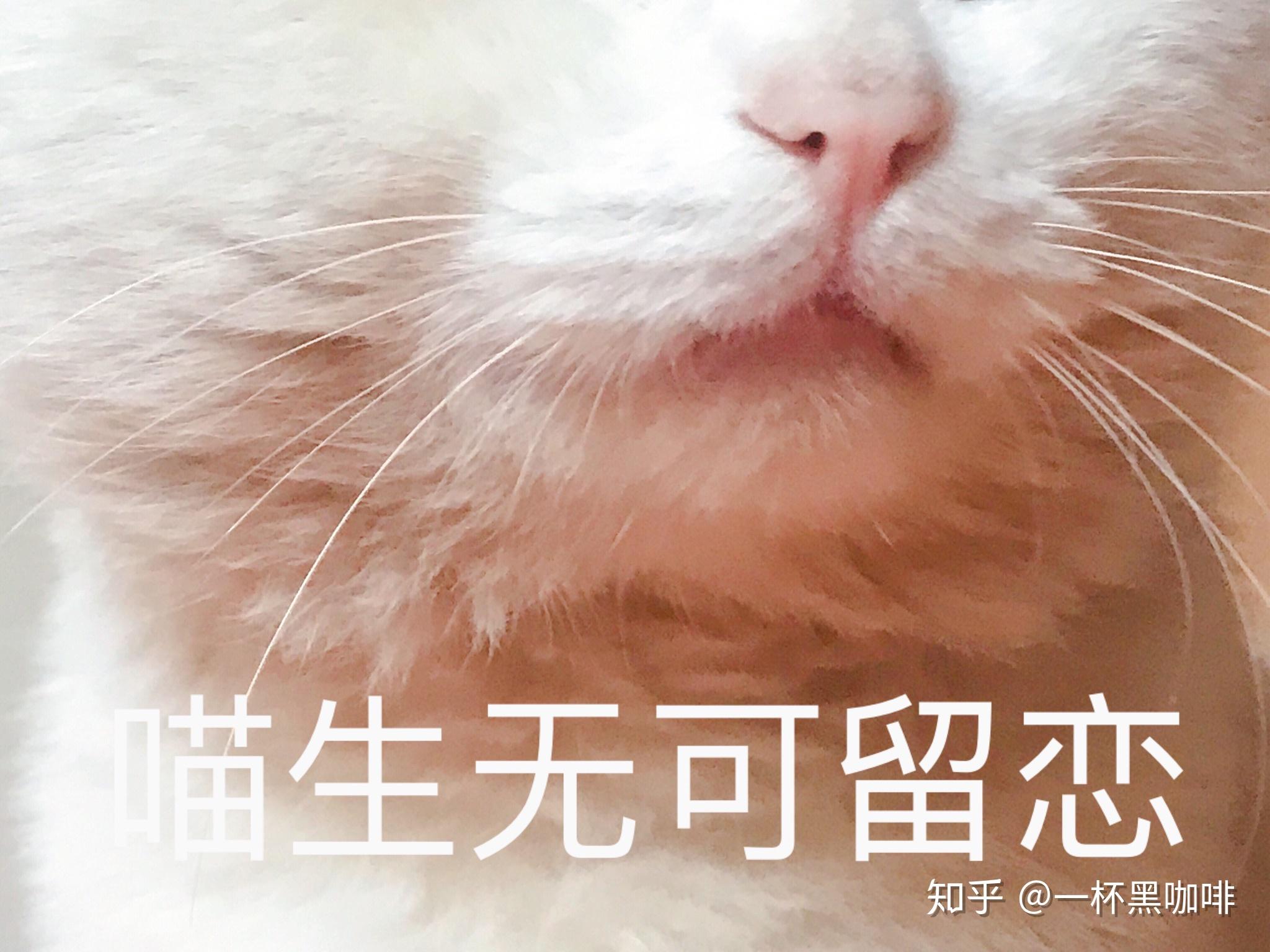 什么时候才能长点脑子 v2-433c142ca391b56df74f98b5b780ba36_r.jpg