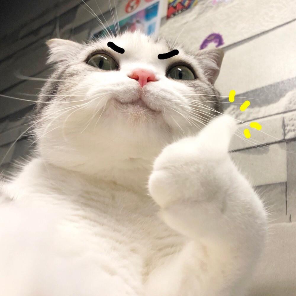 钢铁洪流