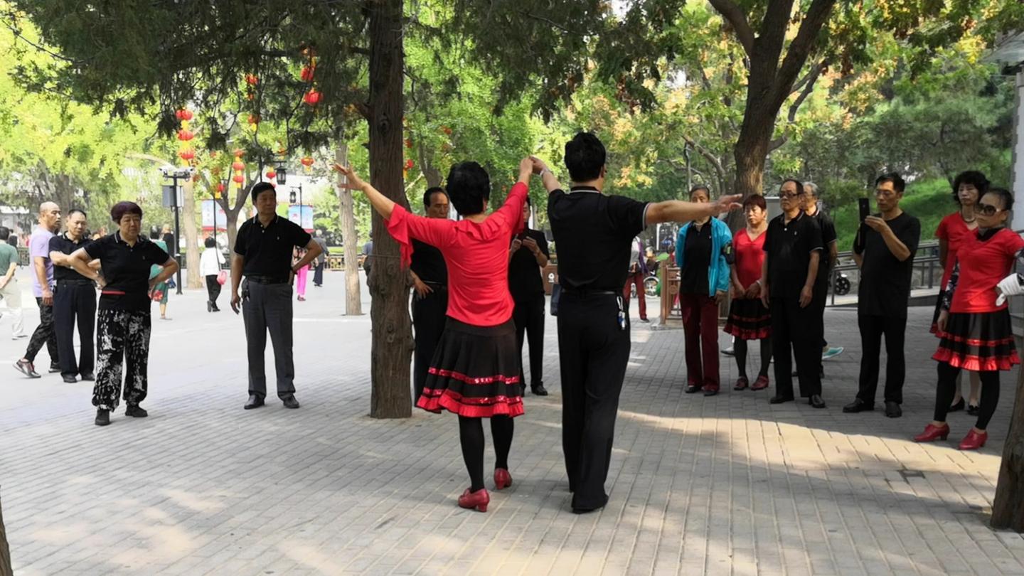 徐舞飞扬双人交谊舞北京平四第三套第十一节分解教学