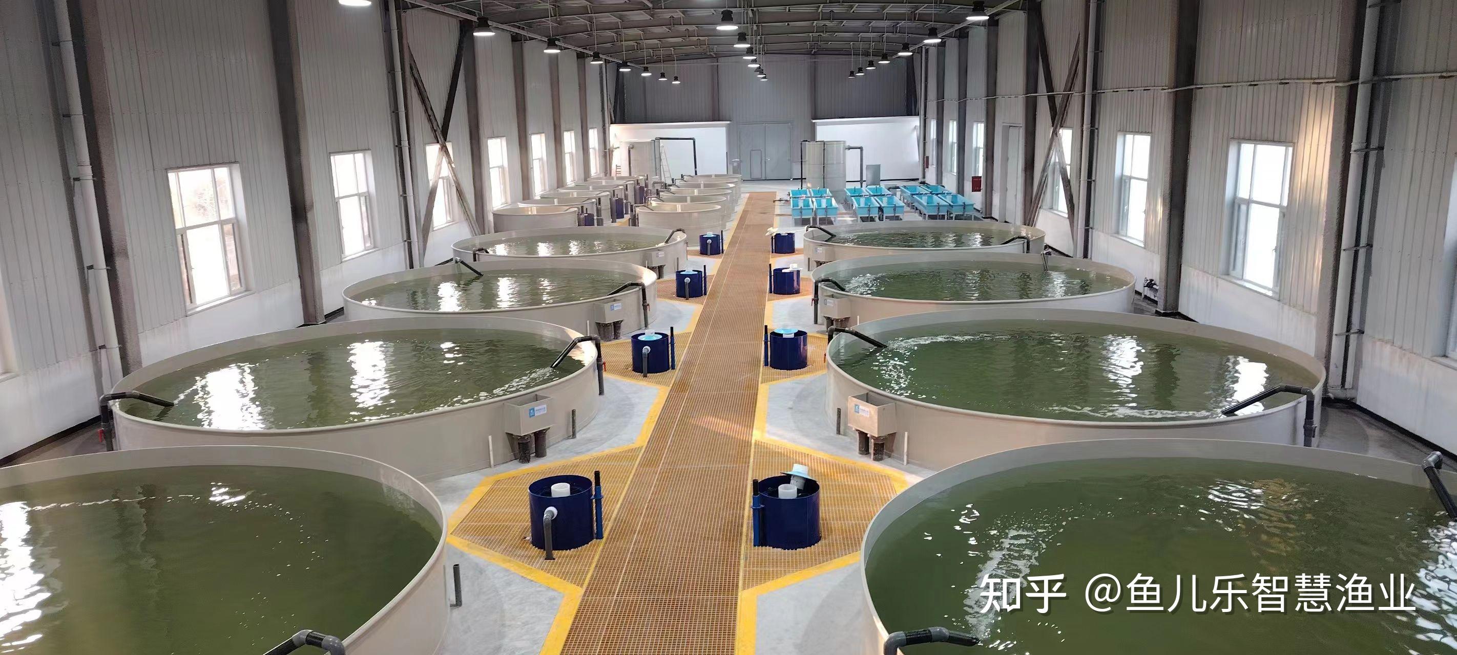 国内外陆基工厂化循环水养殖技术模式的发展历史与现状 - 知乎
