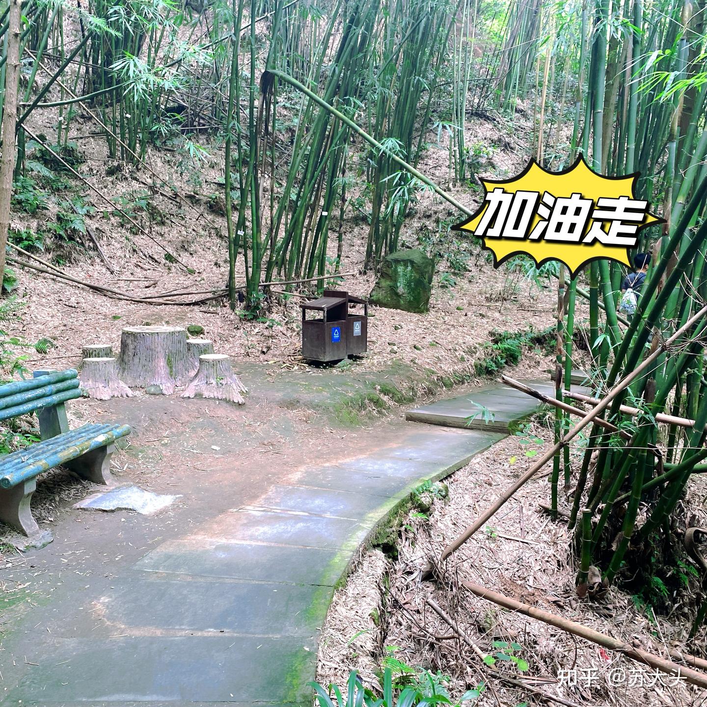 重庆徒步爬山圣地：缙云山免门票上山详细路线指引 - 知乎