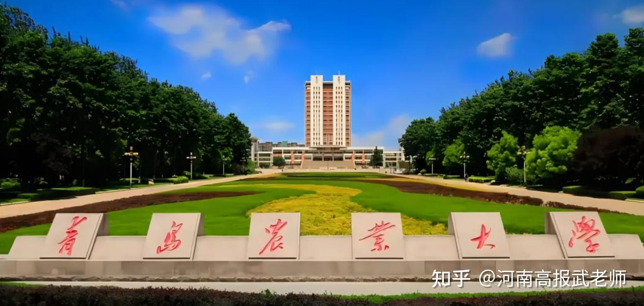 莱阳农学院校门图片