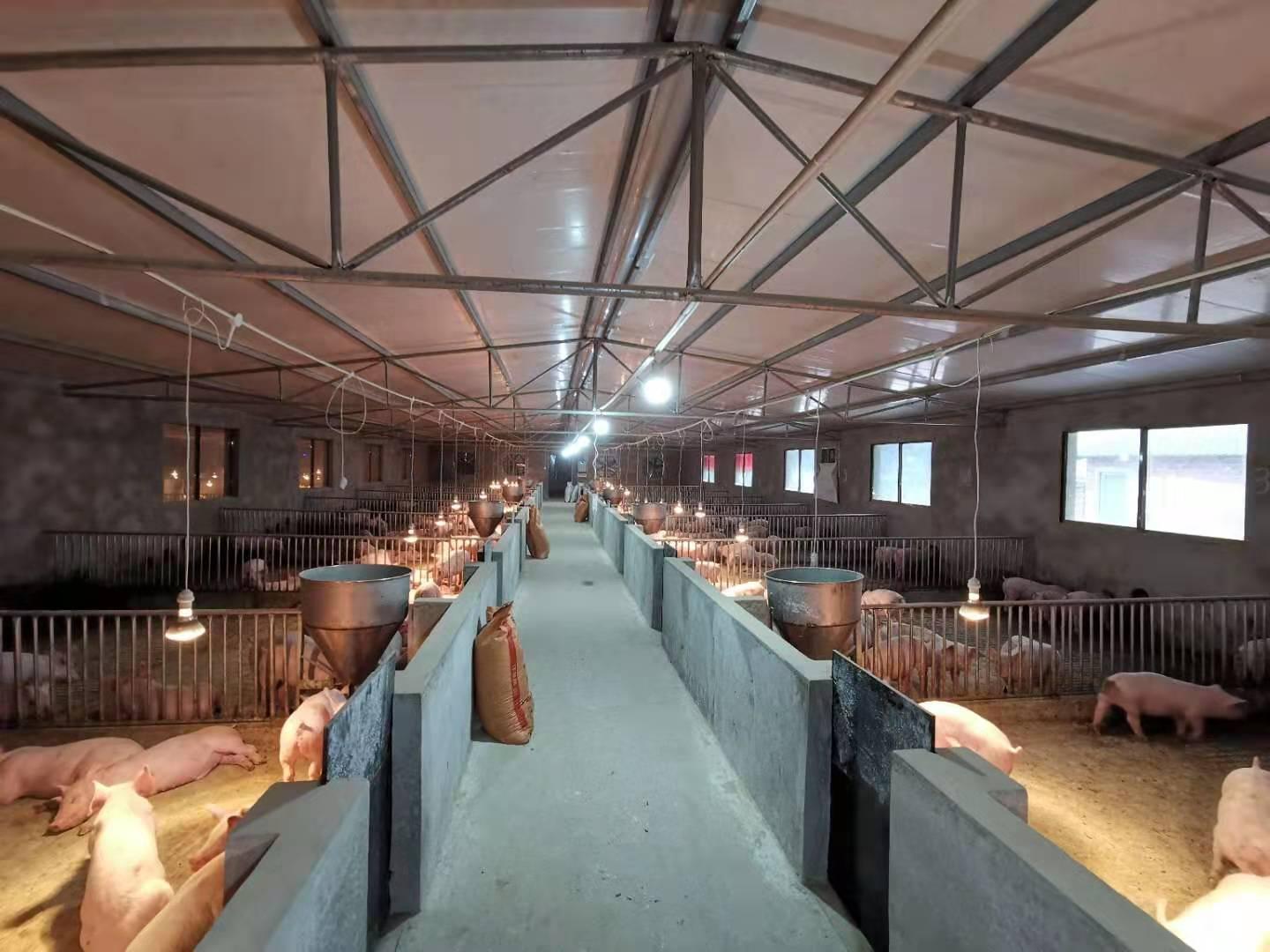 一,家庭农场不失为一条出路