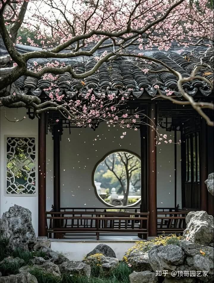 花园，因设计而美好 - 知乎
