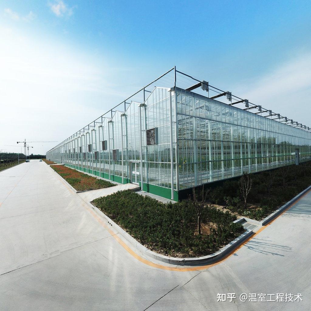2019新型玻璃蔬菜温室大棚 - 河南创美实业集团有限公司
