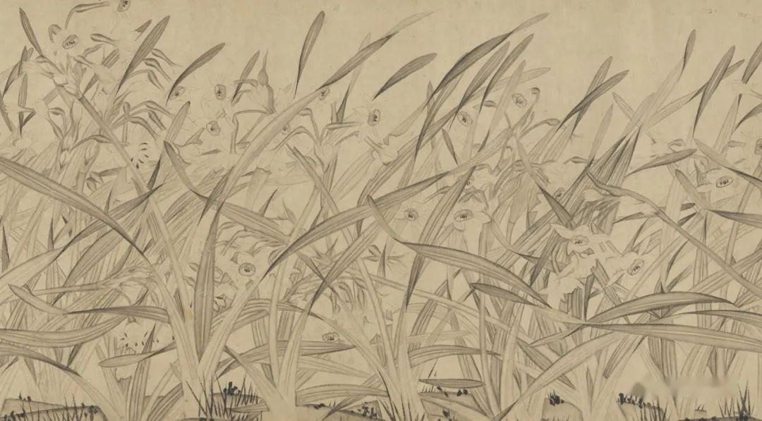 赵孟坚:白描水仙图卷