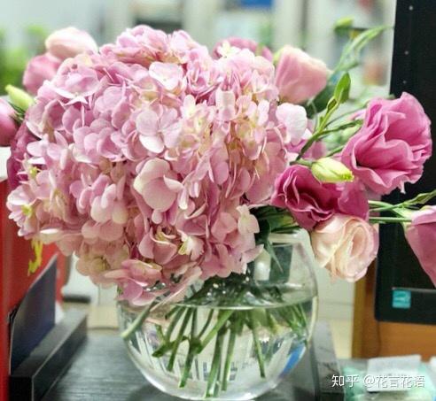 鲜切花材绣球花的养护教程 知乎 鲜切花材绣球花的养护教程 知乎