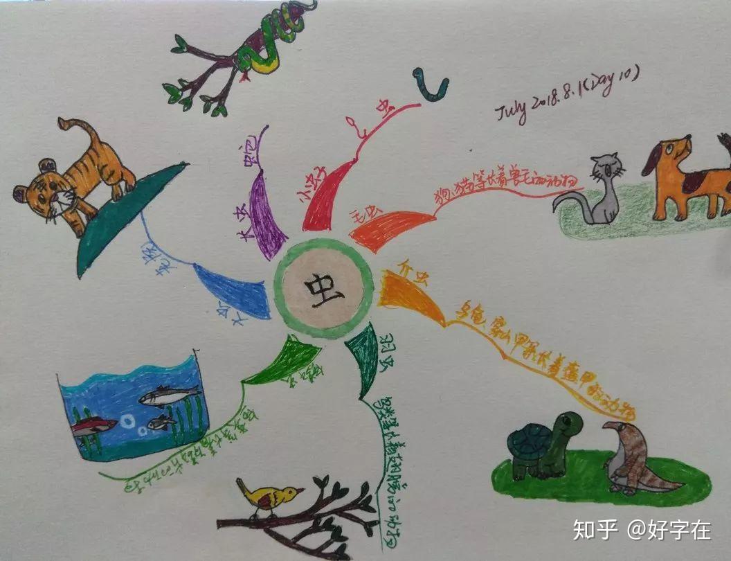 还有一张张记录孩子学习过程的精美手绘笔记和思维导图:三个月以来