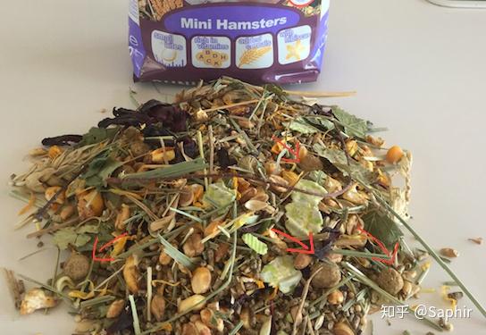金丝熊仓鼠粮食推荐 v2-43b16acc040a909027c36991b73c0456_r.jpg