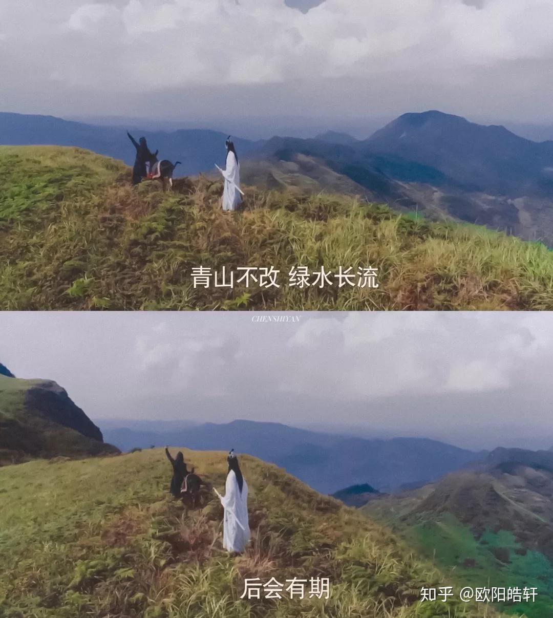 陈情令的ip生意经