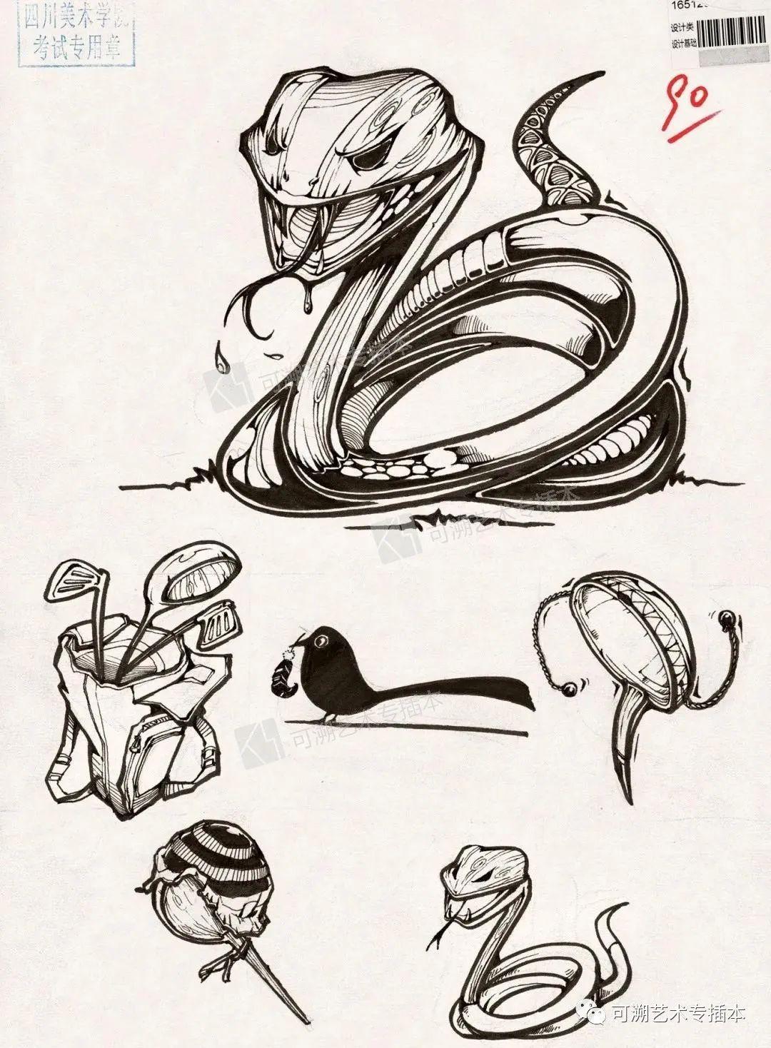 艺术专插本经验贴设计基础统考素材篇