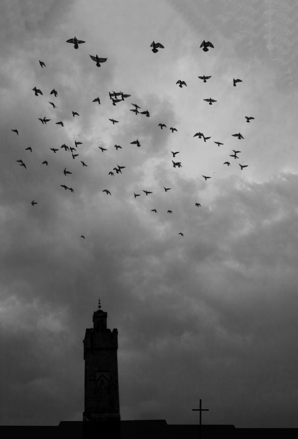 黑白摄影大师段岳衡的eosr摄影作品欣赏