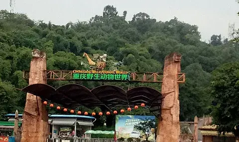 重庆的这个地方是野生动物的乐园