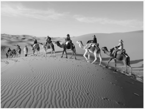 宝藏昇腾AI应用推荐!CANN带你体验黑白图像自动上色的快乐~ 宝藏昇腾AI应用推荐!CANN带你体验黑白图像自动上色的快乐~