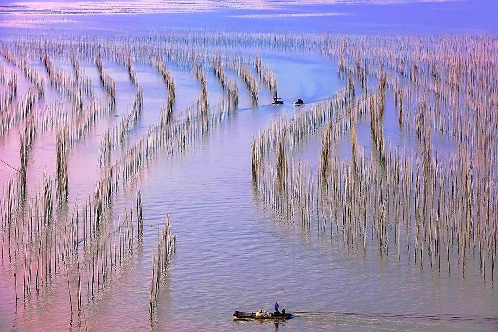 中国最美海岸线霞浦沙江s湾红树林湿地