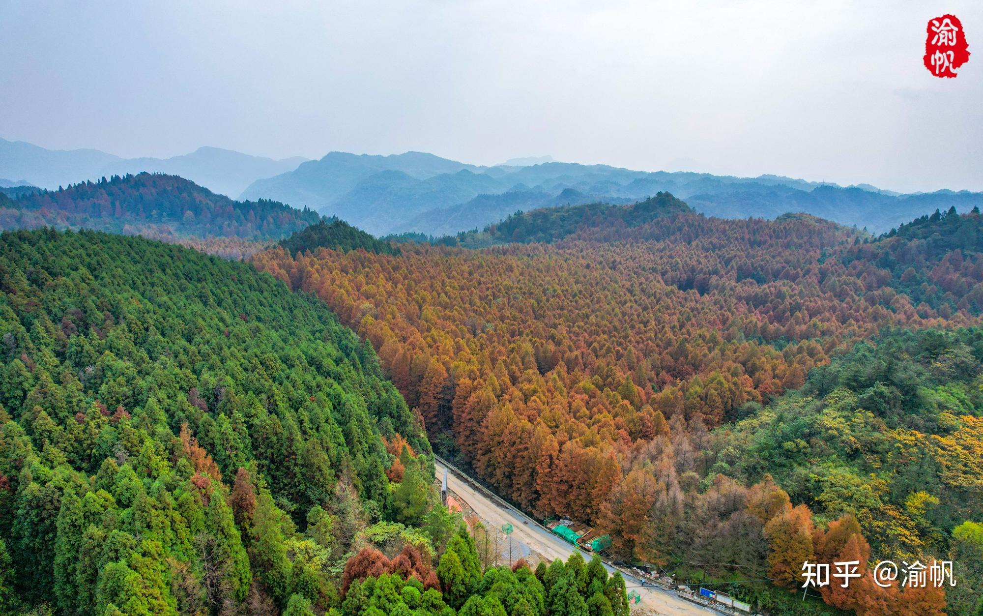 南川山王坪，欣赏真正的“平分秋色”，堪称重庆最美的秋景 - 知乎