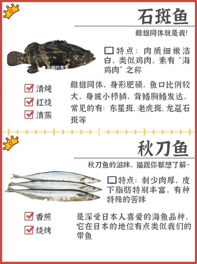 科普:海鱼种类 - 知乎