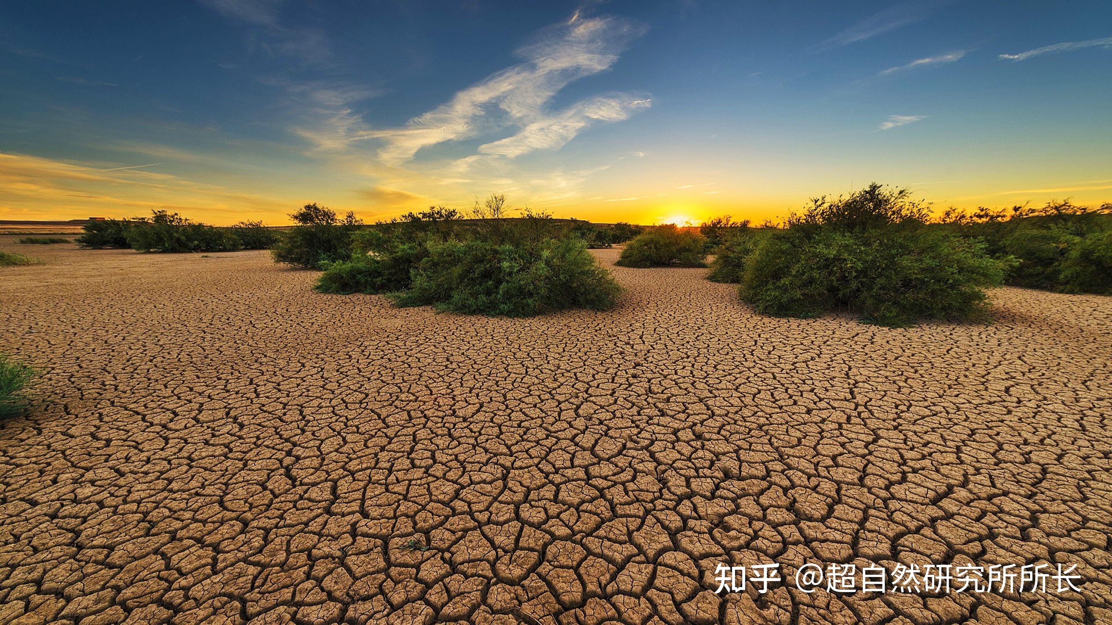 2021年的地球到底怎么了超出你想象的地球故事