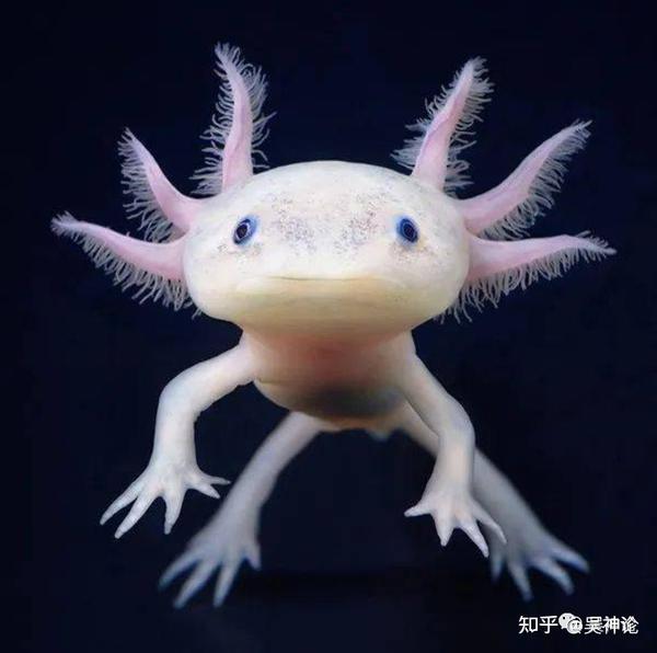 【秦时明月】名剑排行与帝王传承(三):潜蛟,秋骊,凌虚 - 知乎