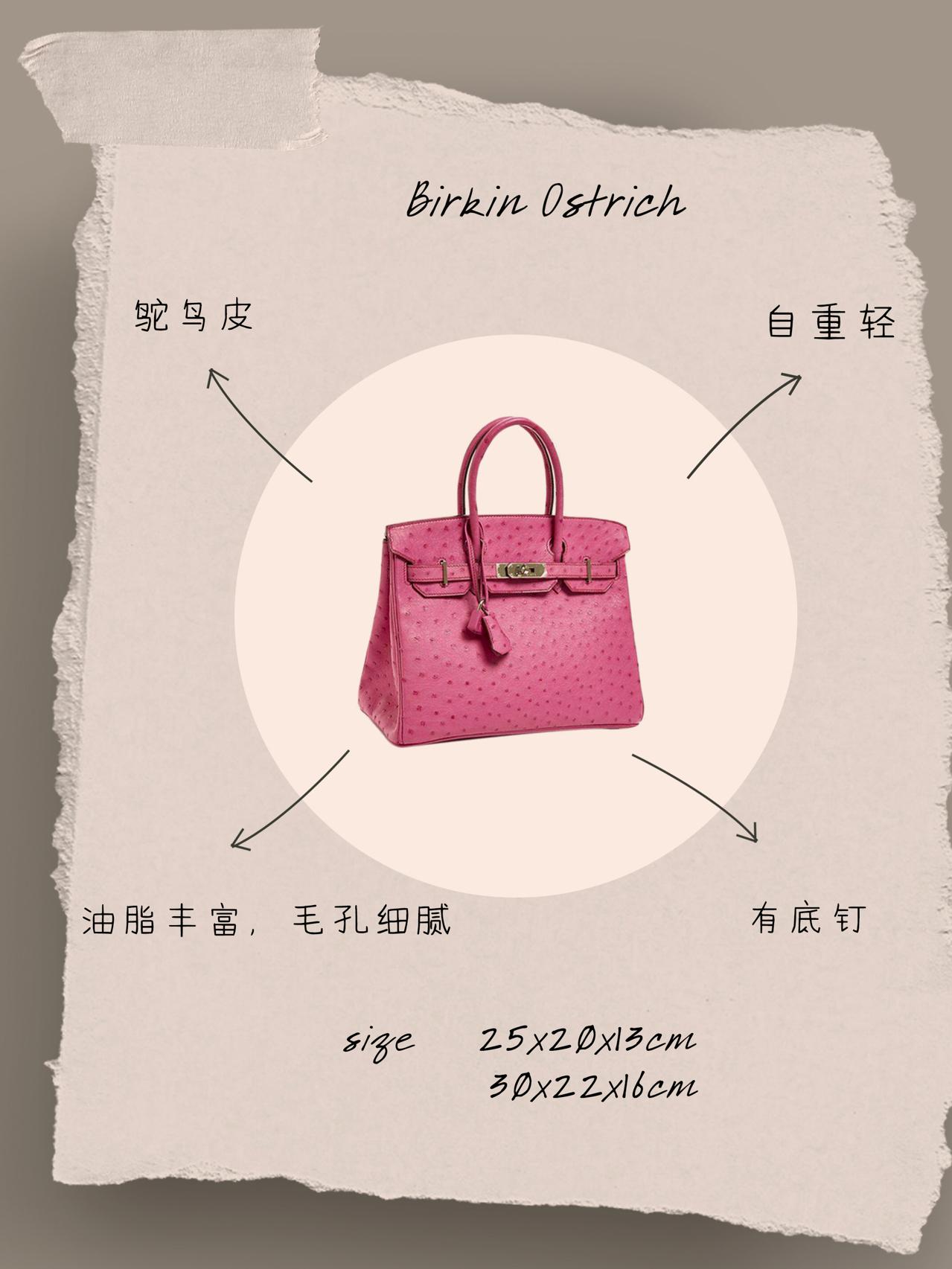 爱马仕Birkin 最火的款式大合集 - 知乎