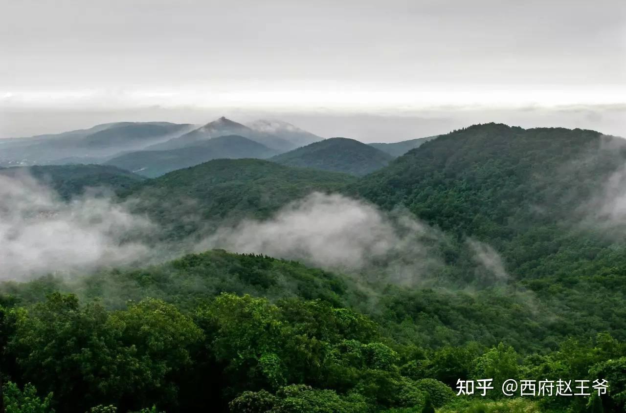 越南方面拍的老山照片图片