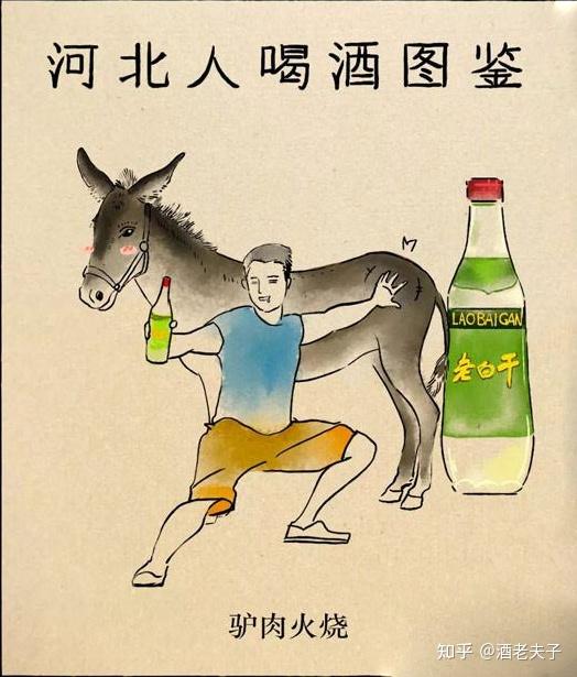 老酒鬼都闻风丧胆的中国十大烈酒排行榜，你的实力够挑战第几名？ - 知乎