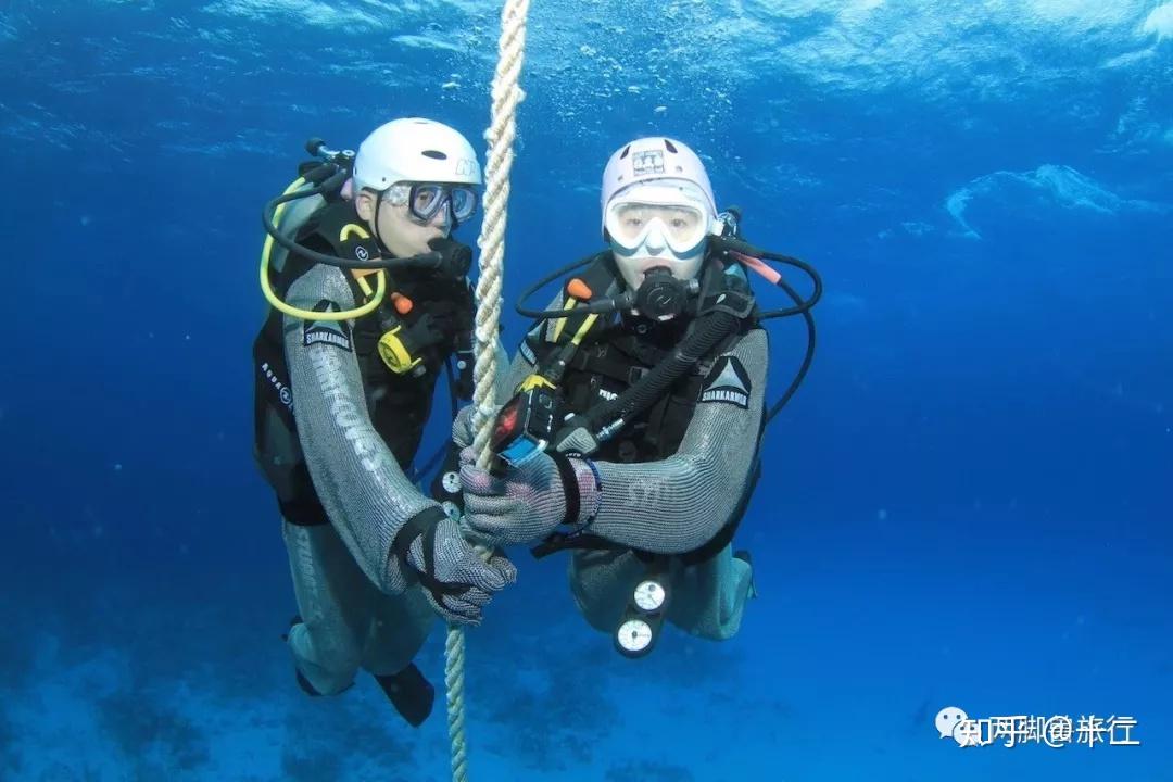 被加勒比礁鲨咬了一口的结婚纪念日