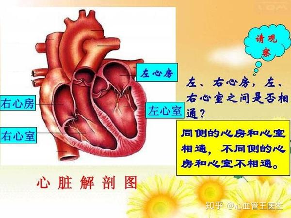 心脏有问题 应该做哪些检查 知乎
