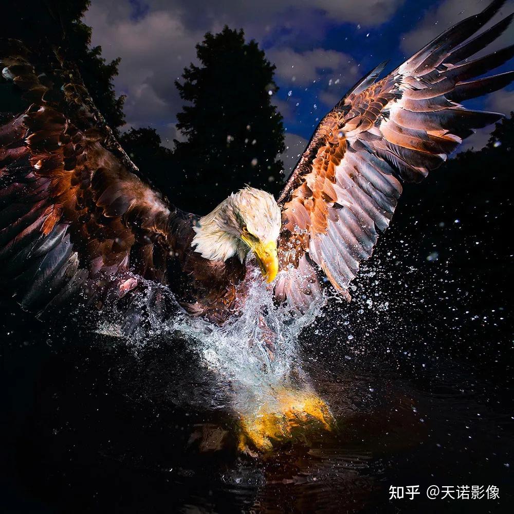 哈苏作品摄影人的意志有多强